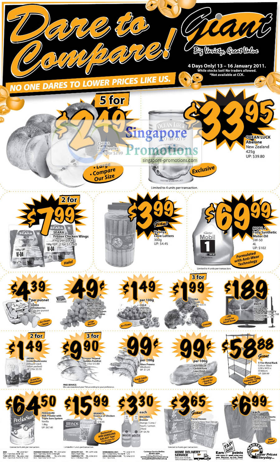 Giant Abalone January 2011