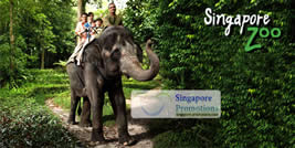 Featured image for (EXPIRED) Singapore Zoo 35% Off Adult Admission Tickets 31 Oct 2011