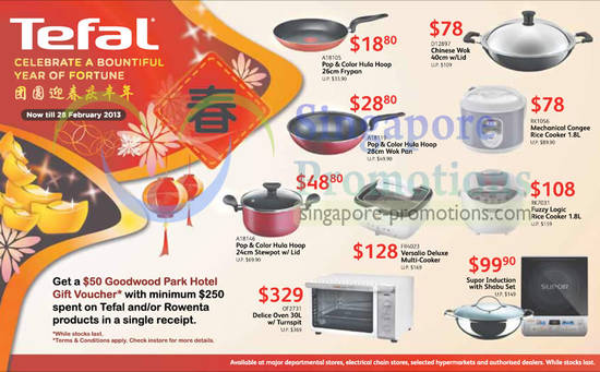 Tefal 9 Jan 2013