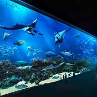Read more about S.E.A. Aquarium 23% OFF Three Adult Tickets Online Promo 12 Feb - 31 Mar 2014