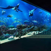 Read more about RWS 35% OFF S.E.A. Aquarium & Adventure Cove Waterpark Promo 1 - 31 May 2014