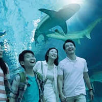 Read more about RWS 22% OFF Universal Studios & S.E.A. Aquarium Bundle 15 Nov 2014 - 4 Jan 2015