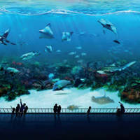 Read more about RWS 1 For 1 S.E.A. Aquarium & Adventure Cove Promo 1 Aug - 31 Dec 2014