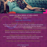 Read more about ION Orchard New Breed of Brilliance Promotions & Activities 23 Jan - 1 Mar 2015