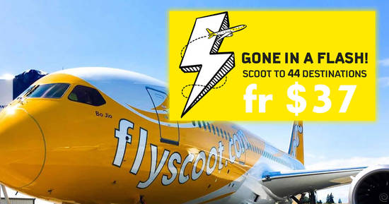Scoot 31 Aug 2017 Scoot 31 Aug 2017