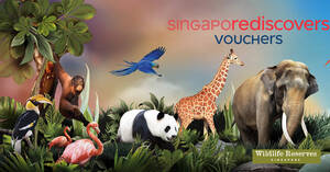 Featured image for (EXPIRED) Enjoy 50% OFF Singapore Zoo & River Safari Adventure Combo for visits till 27 Dec 2020 (excludes 25 Dec)