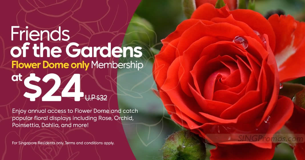 Featured image for $24 for 1-year adult unlimited admission to Gardens by the Bay Flower Dome + 2hr free parking till 14 Aug 2023