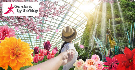 S$22 – S$42 (usual up to $68) Gardens by the Bay 1-year all-days unlimited visits membership offer till 2 Jan