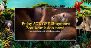 Featured image for 50% Off Admission to Singapore Zoo for visits from 1 – 28 Mar 2024 (excluding school holidays and weekends)