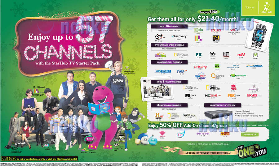 Starhub TV Starter Pack December 2010 Christmas Promotion