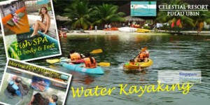 Featured image for (EXPIRED) Celestial Resort 71% Off Cycling, Fish Spa, Lagoon Kayaking / Snorkelling & More @ Pulau Ubin 17 Mar 2012