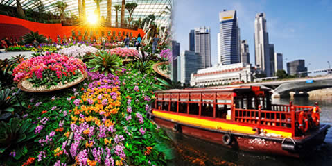 Featured image for Gardens By The Bay & River Cruise 37% Off Package Deal 28 Aug 2012