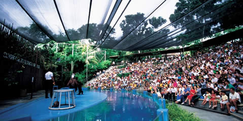 Featured image for (EXPIRED) Singapore Zoo 24% Off Admission Ticket & Tram Rides Deal 26 Sep 2012