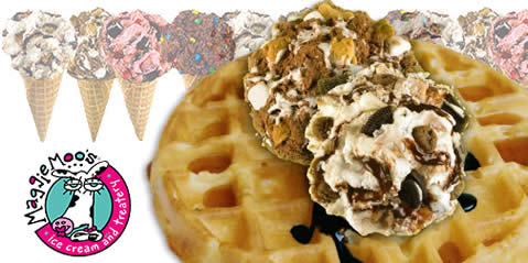 Featured image for (EXPIRED) MaggieMoo’s 50% Off Belgian Waffle Set Deal @ 313@Somerset  6 Nov 2012