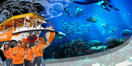 Featured image for (EXPIRED) 42% Off RWS Marina Life Park S.E.A. Aquarium / Gardens By The Bay / Dukw Tour Combo Deal 27 Nov 2012