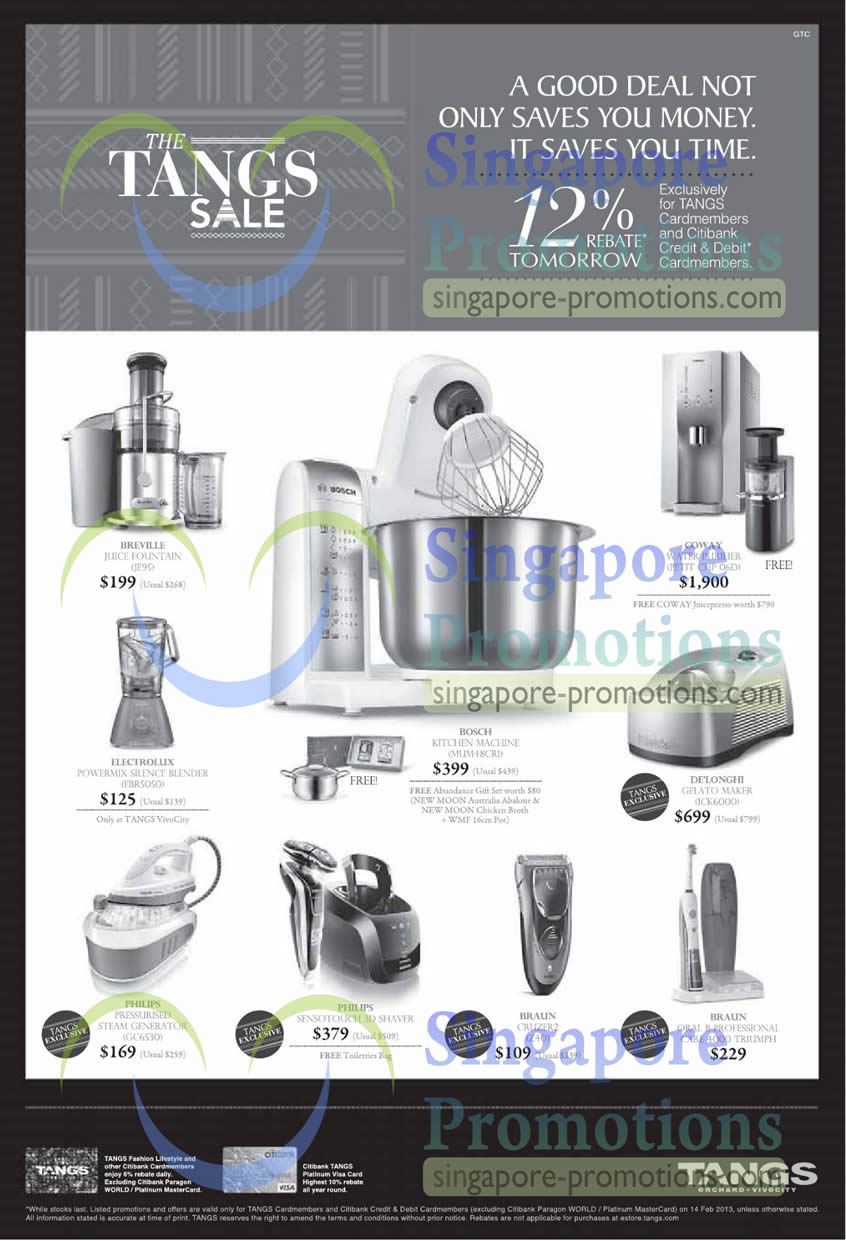 promo-2013-jan-electrolux-rebate-marketing-american-express