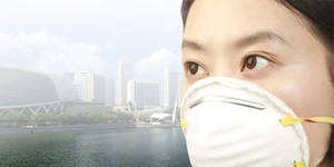 Featured image for (EXPIRED) N95 Masks 51% Off 20pcs Deal 21 Jun 2013
