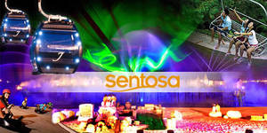 Featured image for Sentosa 36% OFF 2-Way Cable Car, Luge, Sky Ride & Songs of the Sea 7 Jan 2014