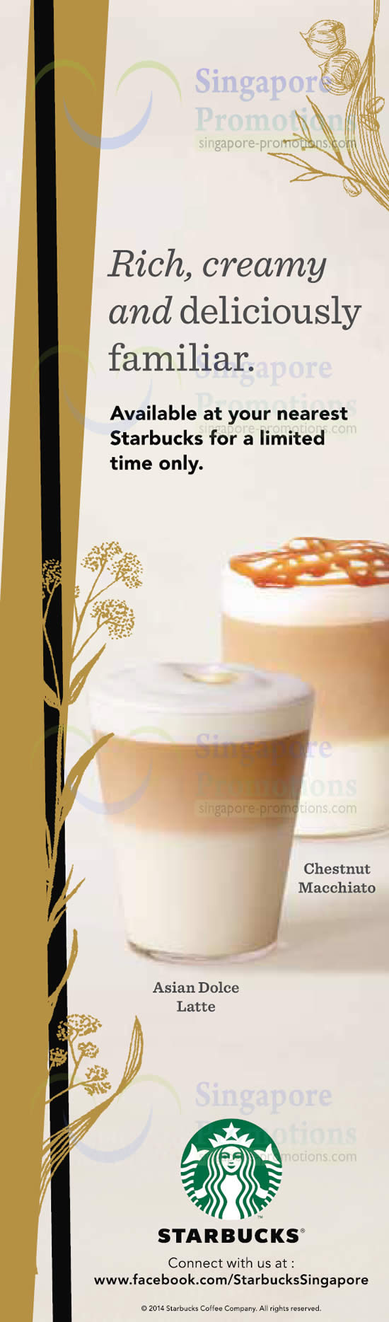 Starbucks Chestnut Macchiato Asian Dolce Latte Is Back 6 Jan 2014