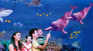 Featured image for Underwater World June Holidays Admission Tickets Promo 31 May – 29 Jun 2014