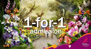 Featured image for (EXPIRED) Gardens by the Bay 1-for-1 Admission for NTUC Members from 1 May – 30 Jun 2016
