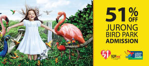 Featured image for (EXPIRED) Jurong Bird Park: 51% Off Admission Coupon from 1 – 31 Aug 2016