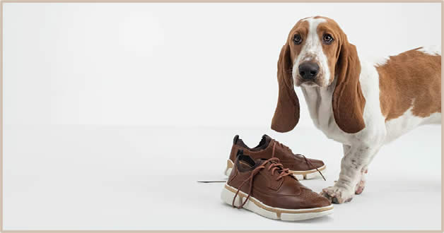 hush puppies shoes sale