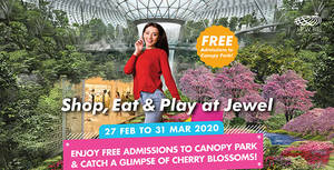 Featured image for (EXPIRED) Jewel Changi Airport: Enjoy free admission to Canopy Park and catch a glimpse of Cherry Blossoms till 31 March 2020