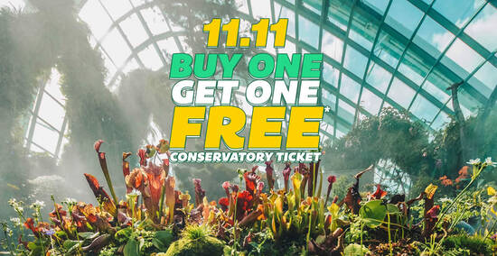 Featured image for Gardens by the Bay: 1-for-1 One Conservatory Weekday Tickets for visits up to 3 Dec on 11 Nov 2020
