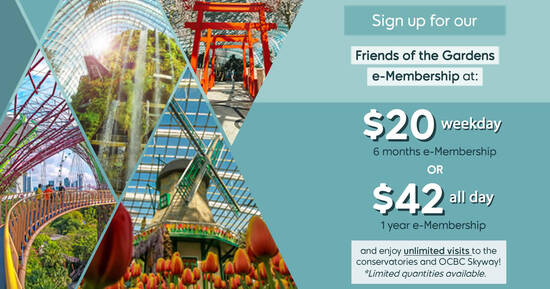 Featured image for Gardens by the Bay: $20 for 6-month unlimited weekday visits & more deals valid till 15 March 2021