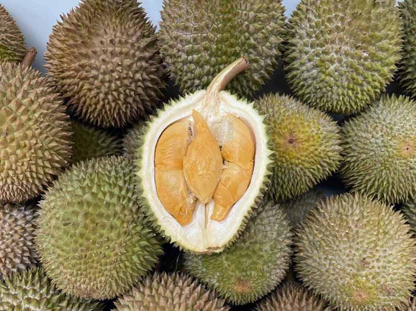 Lobang: Giant Tampines Hypermarket selling durians from as low as S$2* per durian till 30 June 2022 - 16