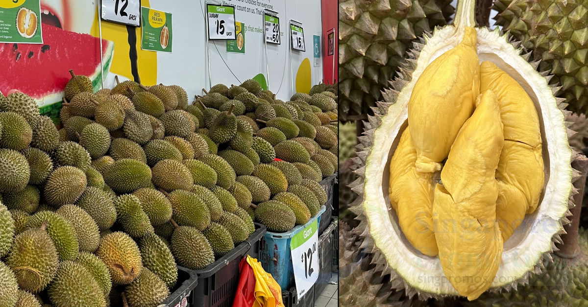Featured image for Durians from as low as $2 at Giant Tampines till 22 June 2023, has MSW, Black Pearl, Golden Phoenix, D101, D13
