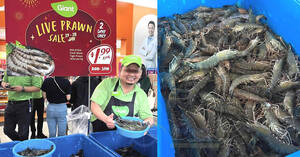 Featured image for (EXPIRED) Giant Tampines Hypermarket $1.99/100g Live Tiger Prawn Sale till 28 Jan 2024