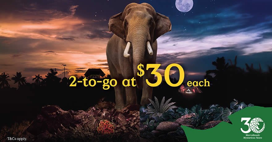 Featured image for Night Safari Offers Special $30 Tickets for Local Residents for visits from 24 May - 23 Jun 2024